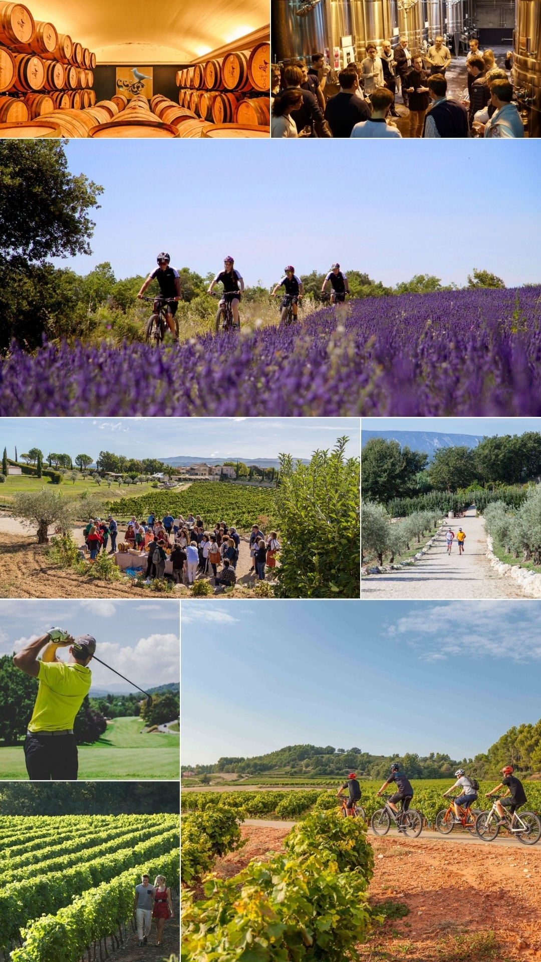 lavender hotel wedding in provence france